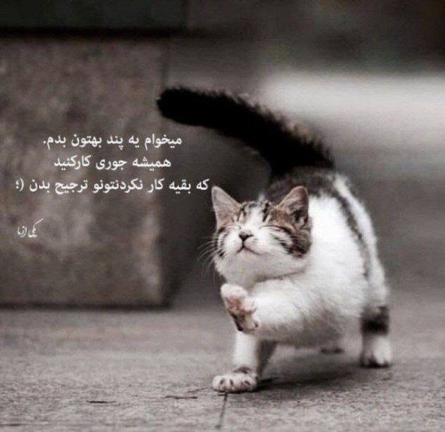 دانلود آهنگ تو را میخواهم 